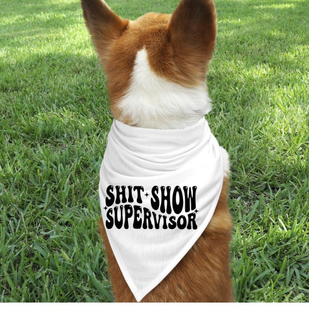 Supervisor Funny White Custom Handmade Pet Bandana